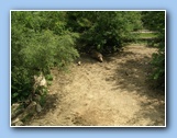 [Click to enlarge image]